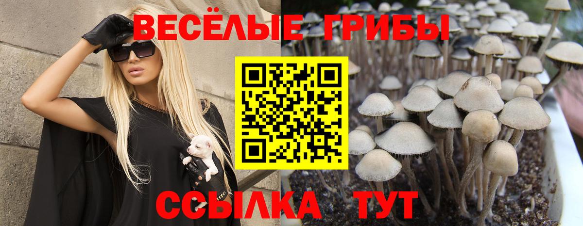 Псилоцибиновые грибы Magic Shrooms Владимир